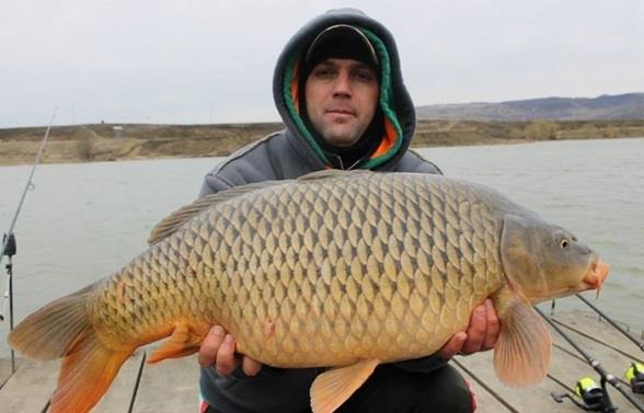 Debut de sezon 4CARP!